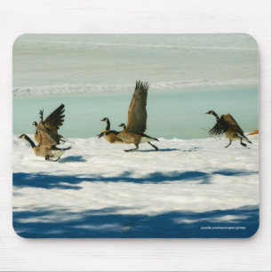 Alfombrilla De Ratón Fotografía de la fauna de la nieve y los gansos de