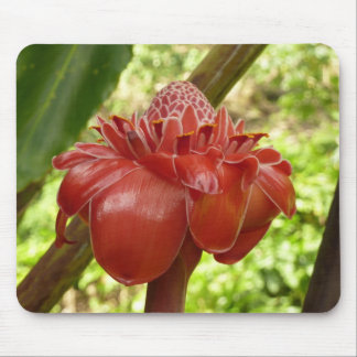 Alfombrilla De Ratón Fotografía de la Flor Tropical del jengibre de la