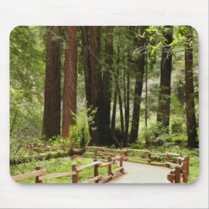 Alfombrilla De Ratón Fotografía de la naturaleza de Muir Woods Path I