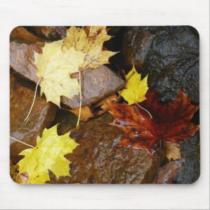 Alfombrilla De Ratón Fotografía de la naturaleza otoñal sobre hojas húm