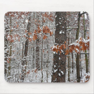 Alfombrilla De Ratón Fotografía de naturaleza invernal de robles cubier