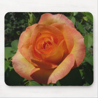 Alfombrilla De Ratón Fotografía de Peach Rosa Naranja Floral