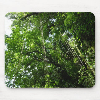 Alfombrilla De Ratón Fotografía de selva tropical de jungle Ropes