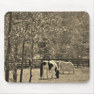 Alfombrilla De Ratón Fotografía de tono sepia del caballo