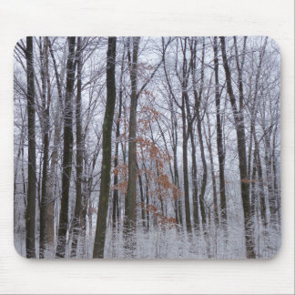 Alfombrilla De Ratón Fotografía del paisaje invernal de la nieve desech