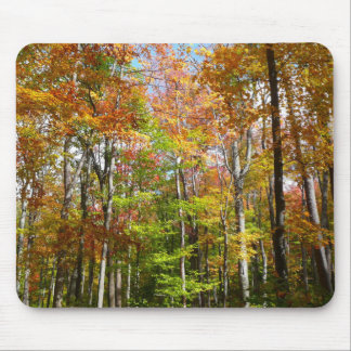 Alfombrilla De Ratón Fotografía del paisaje otoñal del bosque otoñal II