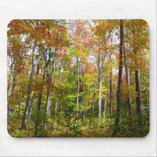 Alfombrilla De Ratón Fotografía del paisaje otoñal del bosque otoñal II