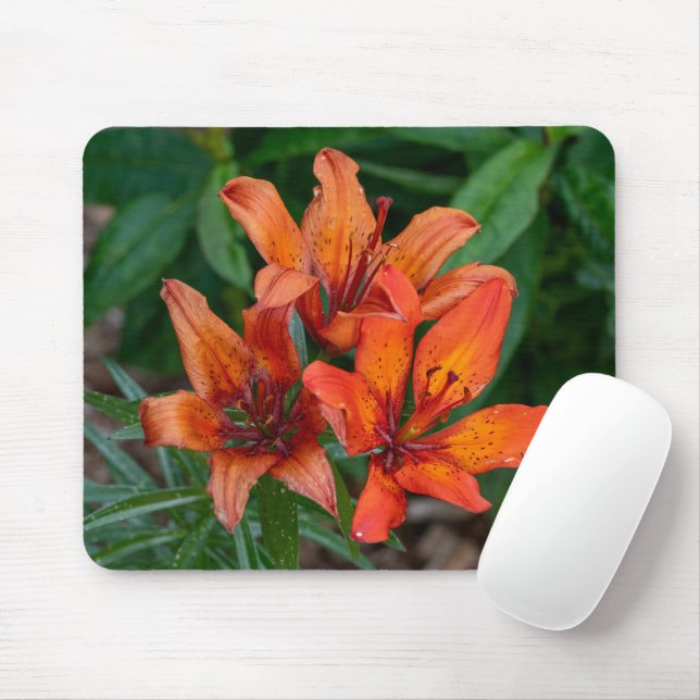 Alfombrilla De Ratón Fotografía diurna naranja, belleza canadiense (Con ratón)