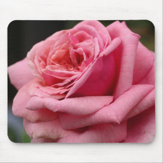 Alfombrilla De Ratón Fotografía floral Rosa I Bonito