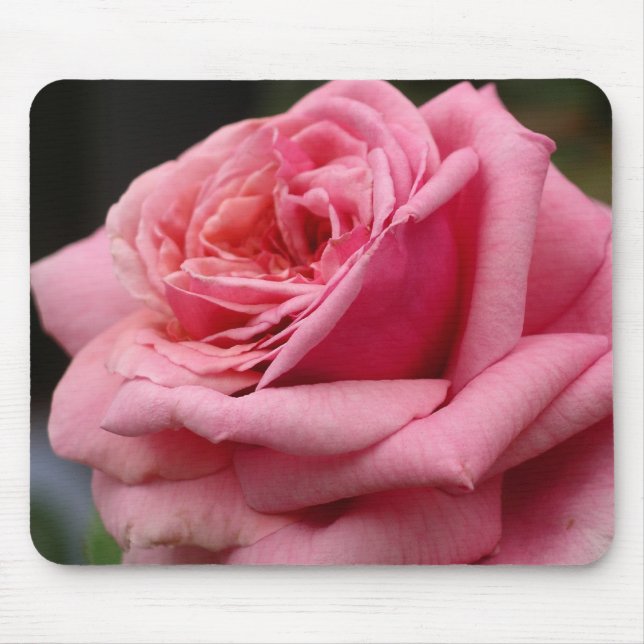 Alfombrilla De Ratón Fotografía floral Rosa I Bonito (Frente)