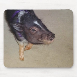 Alfombrilla De Ratón Fotografía hinchada pote divertido del cerdo