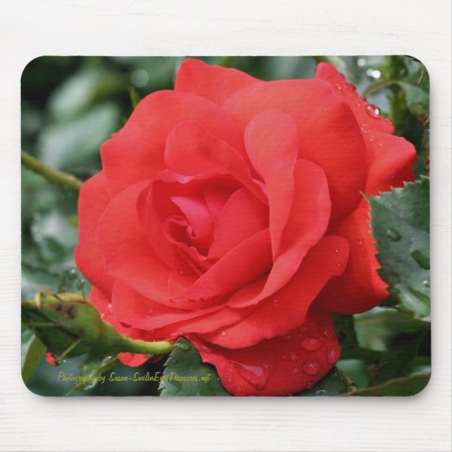 Alfombrilla De Ratón Fotografía Mousepad de la flor del rosa rojo (Frente)