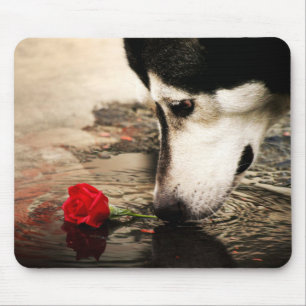 Alfombrilla De Ratón Fotografía Mousepad del rosa fornido y rojo