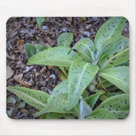Alfombrilla De Ratón Fotografía - Planta