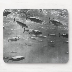 Alfombrilla De Ratón Fotografía subacuática blanco y negro de atunes