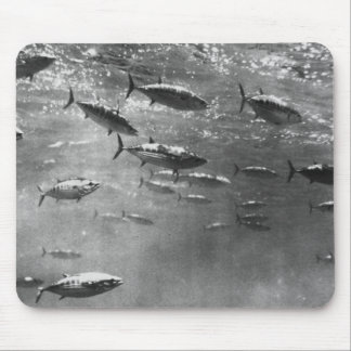 Alfombrilla De Ratón Fotografía subacuática blanco y negro de atunes