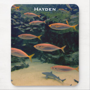 Alfombrilla De Ratón Fotografía subacuática de peces rosados personaliz