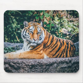 Alfombrilla De Ratón Fotografía: Tigre en un árbol.