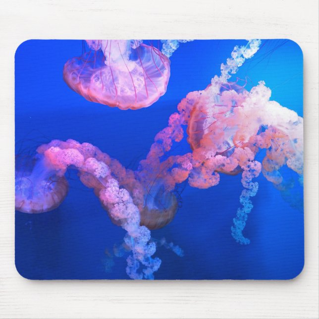 Alfombrilla De Ratón Fotos acuáticas náuticas Fotografía de animales ma (Frente)