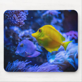 Alfombrilla De Ratón Fotos acuáticas náuticas Fotografía de animales ma