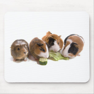 Alfombrilla De Ratón four guinea pigs who eat,