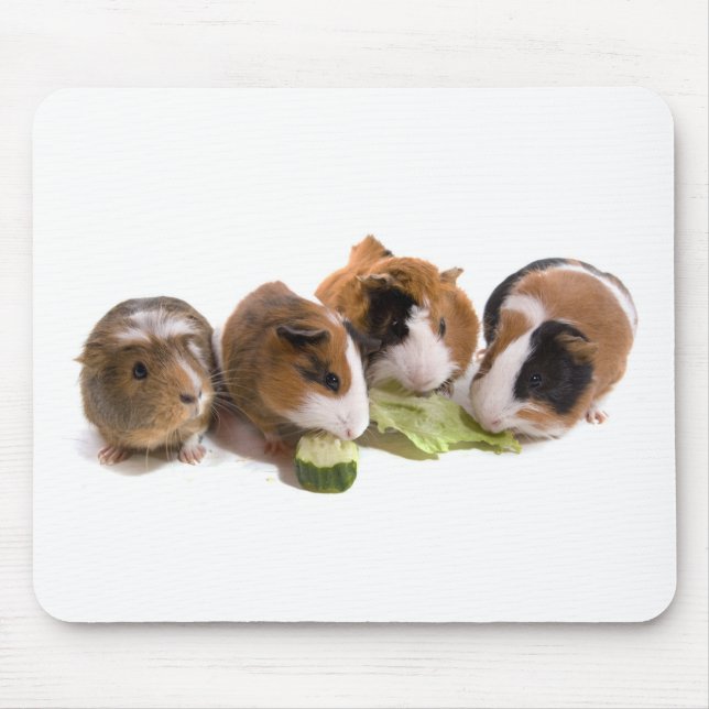 Alfombrilla De Ratón four guinea pigs who eat, (Frente)