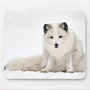 Alfombrilla De Ratón Fox ártico en la nieve