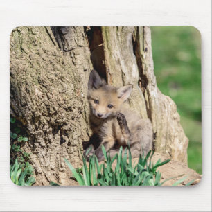Alfombrilla De Ratón Fox Kit en el Valle de Hudson