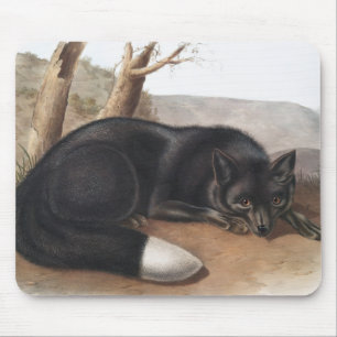 Alfombrilla De Ratón Fox negra o plateada estadounidense (Vulpes fulvus