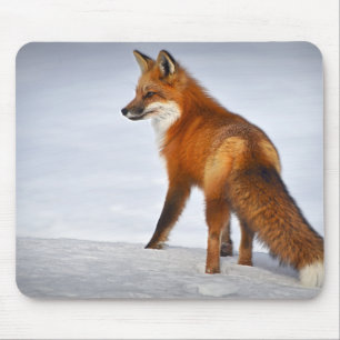Alfombrilla De Ratón Fox roja en nieve de invierno
