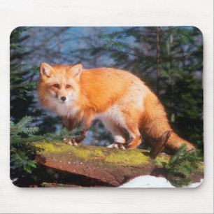 Alfombrilla De Ratón Fox rojo en un registro