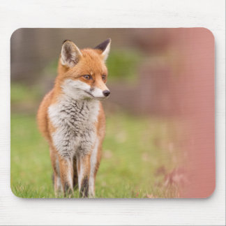 Alfombrilla De Ratón Fox Vixen Mouse Mat