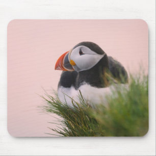 Alfombrilla De Ratón Frailecillo atlántico (Fratercula arctica)
