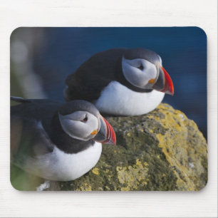 Alfombrilla De Ratón Frailecillo atlántico (Fratercula arctica) 7