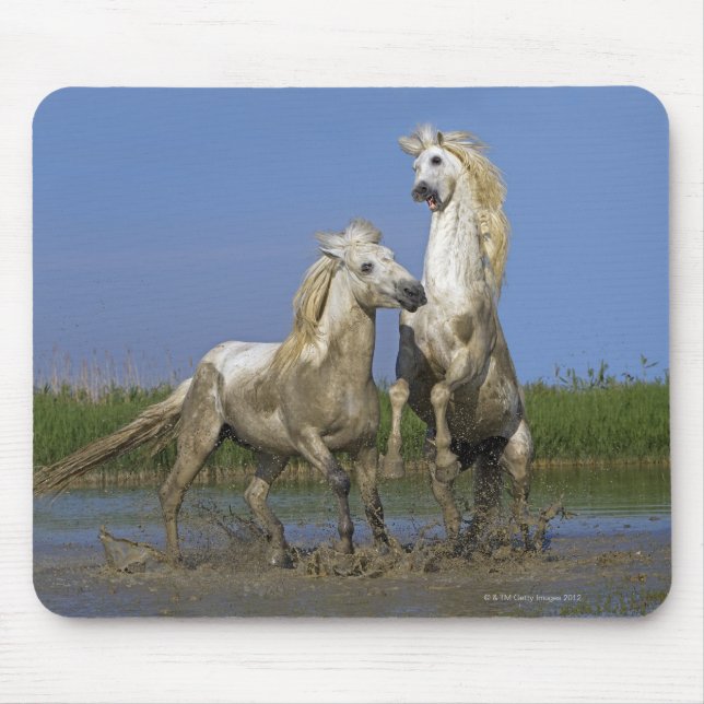 Alfombrilla De Ratón Francia, Bouches du Rhone, Parque Natural Regional (Frente)