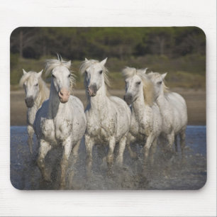 Alfombrilla De Ratón Francia, Camargue. Caballos corren