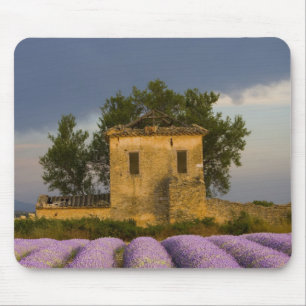 Alfombrilla De Ratón Francia, Provenza. Campo de lavanda y