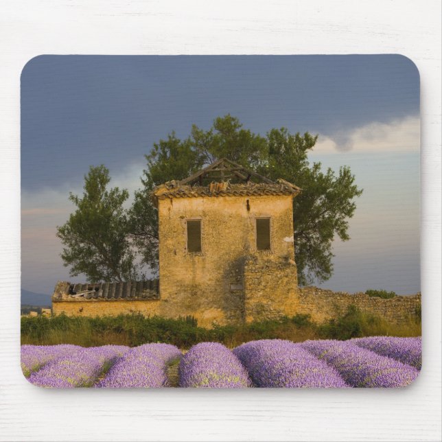 Alfombrilla De Ratón Francia, Provenza. Campo de lavanda y (Frente)