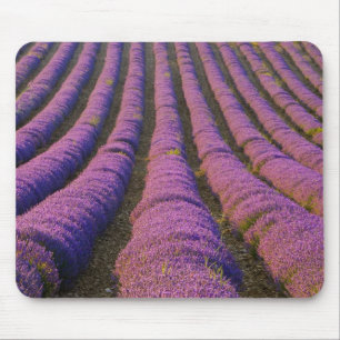 Alfombrilla De Ratón Francia, Región de Provenza. Filas ordenadas de