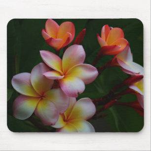 Alfombrilla De Ratón Frangipani