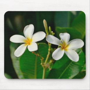 Alfombrilla De Ratón Frangipani blanco