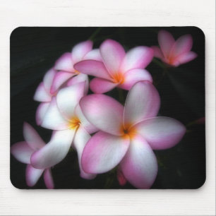 Alfombrilla De Ratón Frangipani en la floración