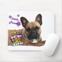 französische Bulldogge kleine Prinzessin