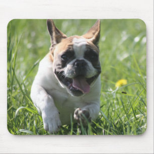 Alfombrilla De Ratón Französische Bulldoggen Mousepad