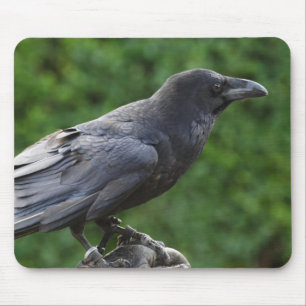 Alfombrilla De Ratón Frecuentes Raven
