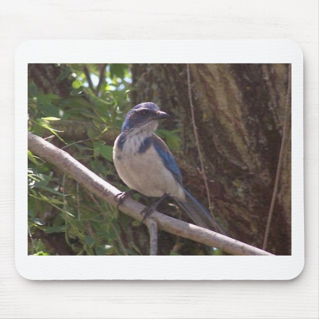 Alfombrilla De Ratón Friegue a Jay (Frente)