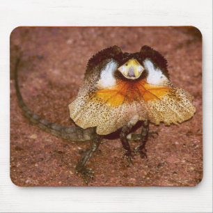 Alfombrilla De Ratón Frilled Lizard - Chlamydosaurus kingii