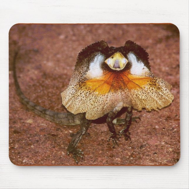 Alfombrilla De Ratón Frilled Lizard - Chlamydosaurus kingii (Frente)
