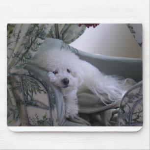 ALFOMBRILLA DE RATÓN FRISE DE BICHON