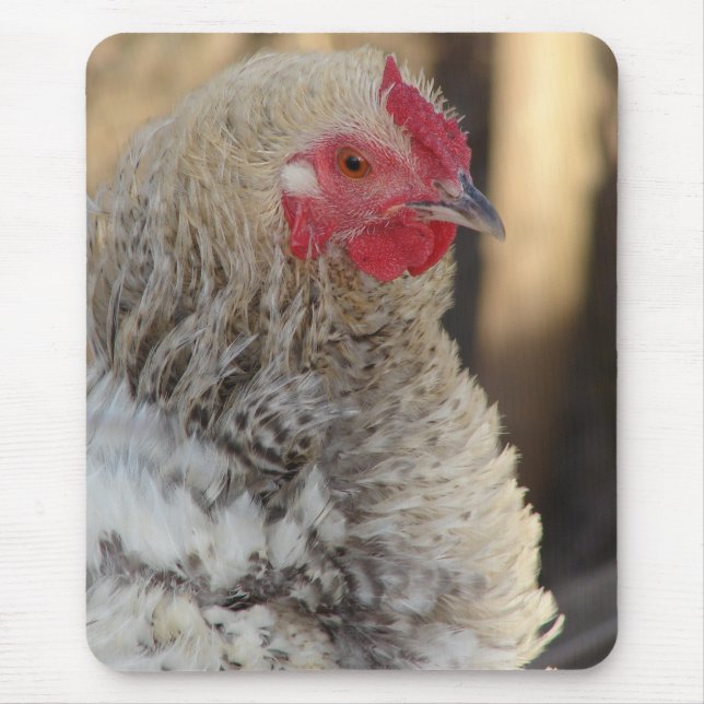 Alfombrilla De Ratón Frizzle Rooster (Frente)